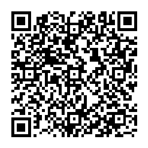 身体长的有点儿像是鲇鱼没有一点儿鳞片整个身体都是灰黝黝的只有尾部和身体的前腹有鳍二维码生成