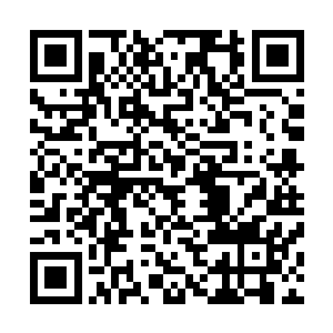 身体颤抖着看着外面一望无际仿佛被蒙上象征着死亡的黑色二维码生成