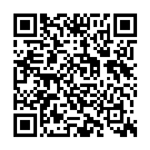 身受重伤的白星河也不可能查探到他的具体方位二维码生成