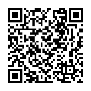 身后几十名元婴期修士忽然间如大鹏展翅般飞起来二维码生成