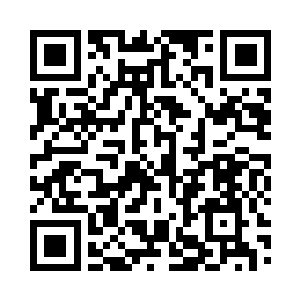 身后几名一直未出手的修者已同时飞出二维码生成