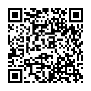 身后十几个人举起手中的枪把杨洛他们围了起来二维码生成