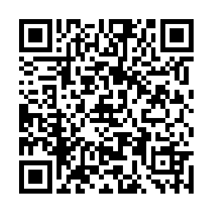 身后却是忽然传来一道让着林辰头皮直发麻的声音二维码生成