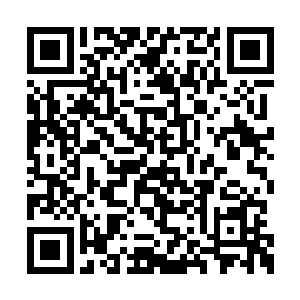 身后方不知何时出现了一道不见尽头的青铜墙壁二维码生成