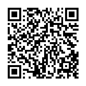 身后正在替爷爷揉着肩膀的韩璐看着爷爷满脸笑容二维码生成