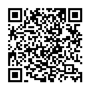 身后的势力必然也会给予其与其潜力能力相匹配的地位二维码生成