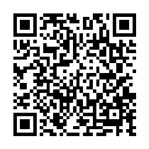 身后的怪兽见状目光顿时也是放到了龙傲天几个人的身上二维码生成