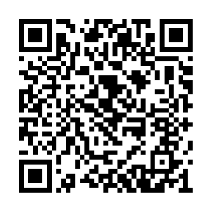 身后的机无不修一看到凌蘭手中这把熟悉的武器二维码生成