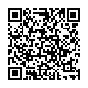 身后的瘦子听得有只实力不差的僵尸没差点吓得掉头就跑二维码生成