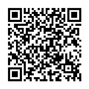 身后的神机子和黄轩也纷纷的拿出了压箱底的手段二维码生成