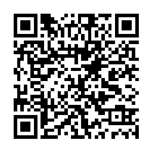 身后的防御护罩和一个个小世界飞快地恢复成原貌二维码生成