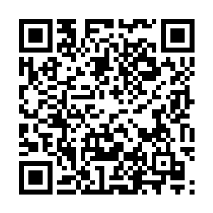 身后站着十几个身穿保安制服れ手拿橡胶警棍的彪形大汉二维码生成