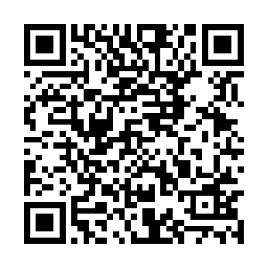 身后跟上来的韩国人看到笑眯眯的看着他们的秦洛二维码生成