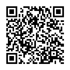 身后跳出来的周晓莉却把他耳朵一把就准确的揪住了二维码生成