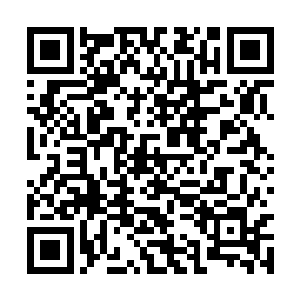 身后还有着玉林雨芯带着整个天玄宗在庇护着他们二维码生成