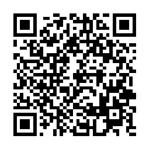身后追击的那只红色巨蟒见剑尘即将逃出自己的领地二维码生成