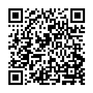 身后那个病秧子的男人猛然抬起一脚踹在了他的小腹上二维码生成