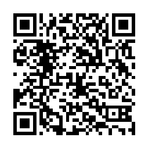 身后那些密密麻麻的混沌兽和域外天魔会给他们时间吗二维码生成