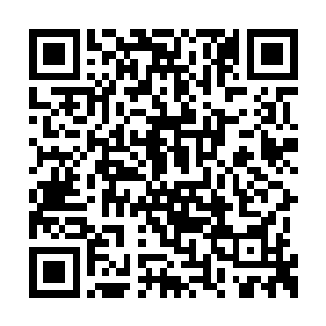 身后飞舞十八根如同触手一样的血液组成的鬼爪二维码生成