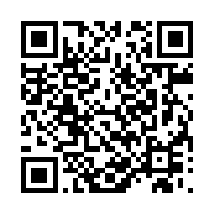 身在其中的苗毅和黑炭也被炸得随之翻飞二维码生成