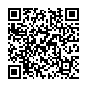 身在这个权力体系中的诸人才能获取到最大的好处二维码生成