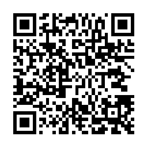 身处其中的智慧生命便越不需要靠繁衍行为来获取愉悦快感二维码生成