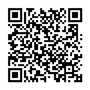 身子几乎在一瞬间再度形成一个与之前相反的弓形二维码生成