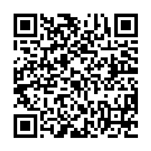 身子动了几下之后那鲜血从口中溢出后就再没有了响动二维码生成