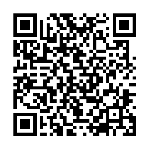 身子化为一道淡淡的残影风驰电擎的向着这里赶來二维码生成