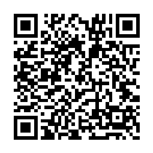 身形一掠便各自凭着感觉选择一个方向搜寻而去二维码生成