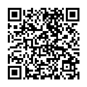 身形一晃就从烈焰佣兵团另外四名圣王强者身边掠过二维码生成