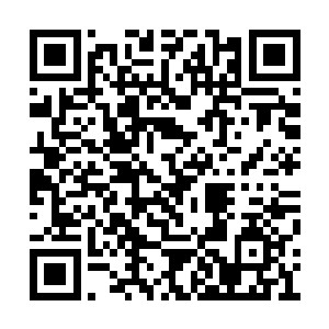 身形不输宁峨眉的魁梧剑客吕钱塘只是凝神闭目二维码生成