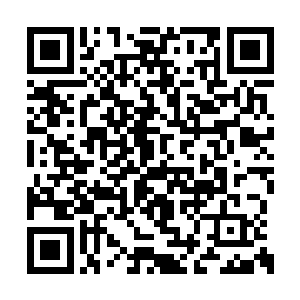 身形倒翻的时候仍然后足一蹬身后翻过的大冰块二维码生成