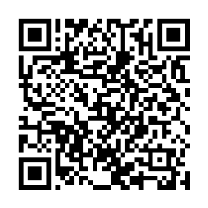 身形几个瞬移・便来到了十里之外的那棵枯木逢春之处二维码生成