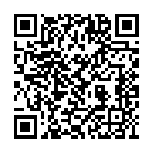 身形猛然加快向着混沌兽的张开的大口激射而去二维码生成