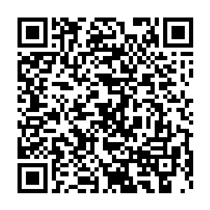 身形魁梧的横天刀君突然间如同被骤临闷雷雷个正着一般的呆住了二维码生成