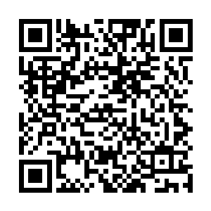 身手矫健如叶凡者也只能做到保证让她们万无一失而已二维码生成