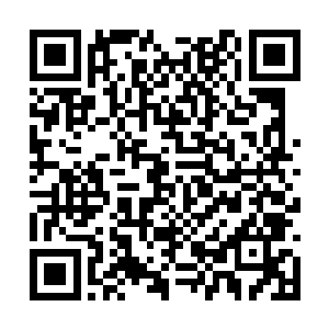 身旁的门就开了从里面走出了一个身材一流的姑娘二维码生成