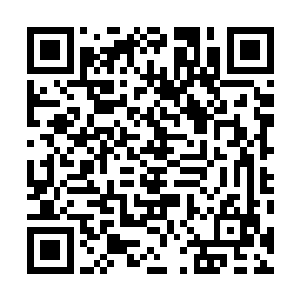 身材却一点不输于帕里斯的小家伙由于适应海上生活最快二维码生成