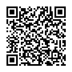 身材微微有些发福的中年男人将目光从擂台上收了回来二维码生成