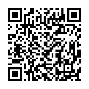 身法速度竟比碧月魔宫的妖魅妖明月还快上三分二维码生成