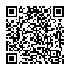 身着红纱的魅业火妖媚的漫步走向黄鼠狼的洞府二维码生成