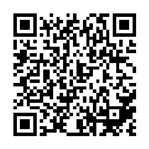 身穿灰色工作服的王枫正指挥着研究人员按步骤操作二维码生成