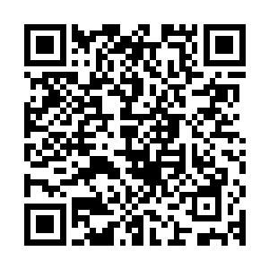 身穿玄色道袍的黑须道人骑在一只足有一丈多长的斑斓猛虎背上二维码生成