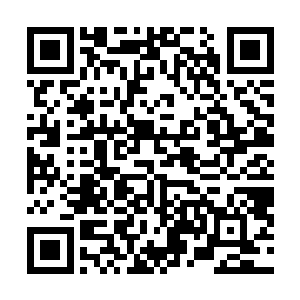 身穿着维多利亚时代礼服的宾客们在绿茵地上说笑行走着二维码生成