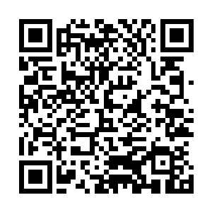 身穿素白色上面镶有海棠花图案的女佣便端着新鲜的海棠果二维码生成