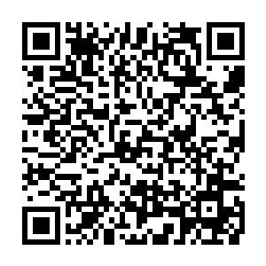 身穿紫金龙纹袍身形高大健壮一身凌厉霸道唯我独尊的青年剑者一步跨出二维码生成