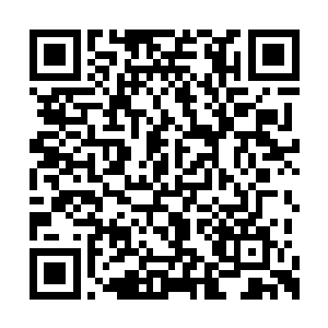 身轻如燕地马文稳稳地落在了一根粗壮的树枝上二维码生成