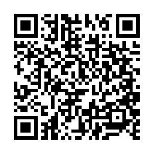 身边一只形态如同蛟龙一样的大海蛇发出低沉的咆哮二维码生成