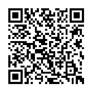 身边不断有露天的观光电瓶巴士从他们身边经过二维码生成